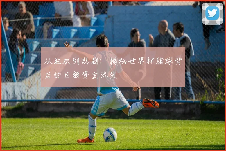 从狂欢到悲剧：揭秘世界杯赌球背后的巨额资金流失